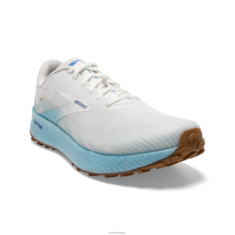 86H2476 catalytique Brooks blanc