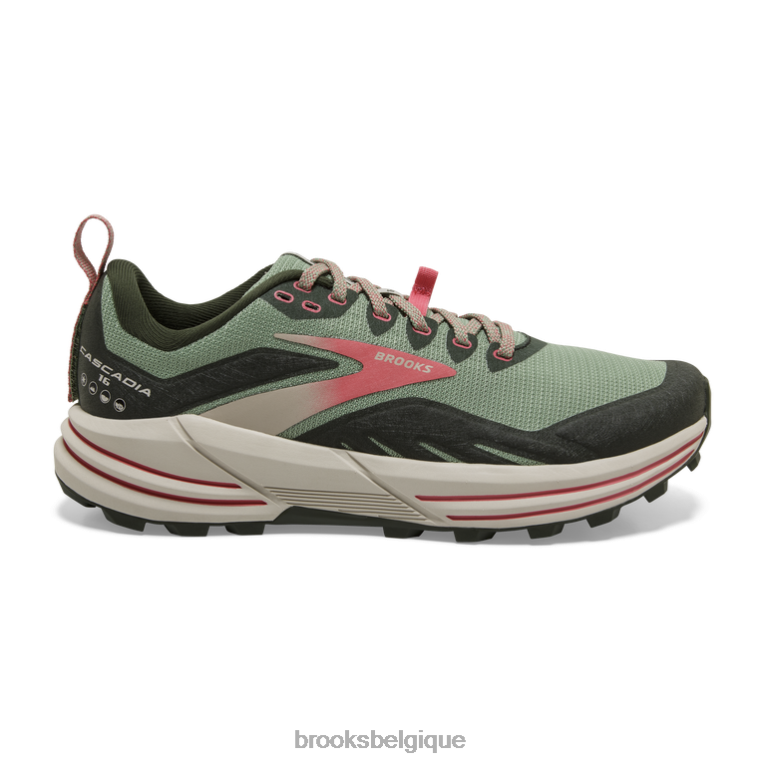 86H24914 cascadie 16 Brooks corail