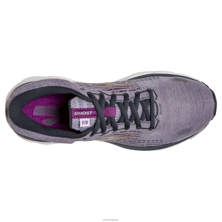 86H24235 fantôme 13 Brooks métallique