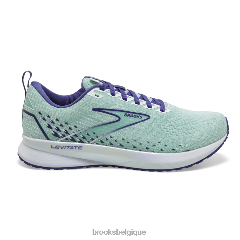 86H24974 léviter 5 Brooks bleu