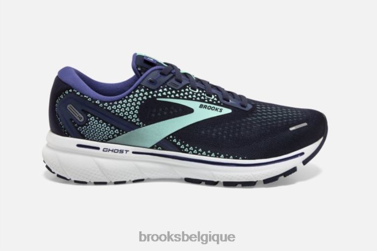 86H241425 fantôme 14 Brooks marine