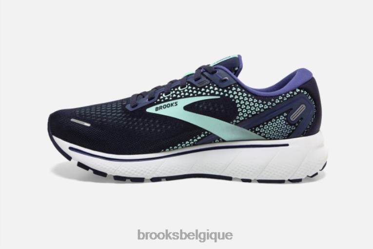 86H241425 fantôme 14 Brooks marine