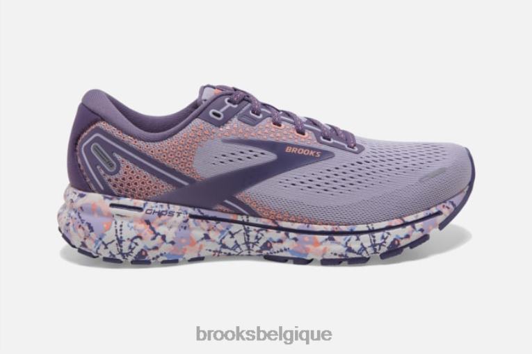 86H241443 fantôme 14 Brooks cadet