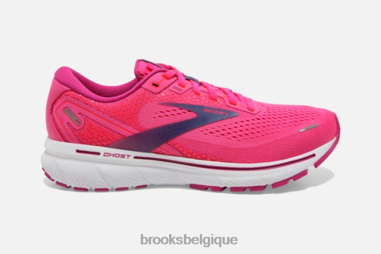 86H241451 fantôme 14 Brooks rose