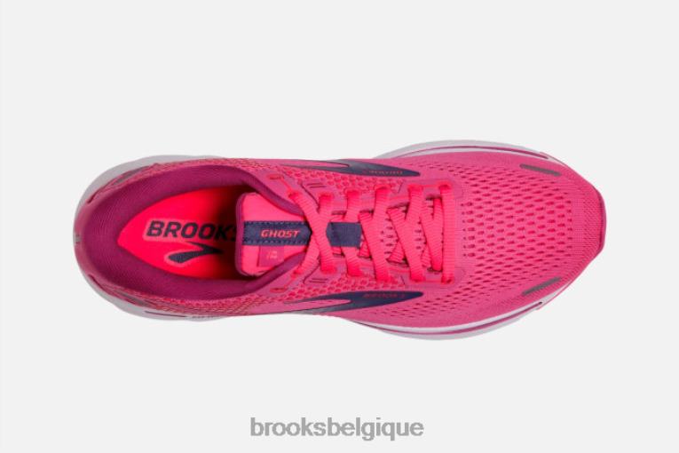 86H241451 fantôme 14 Brooks rose