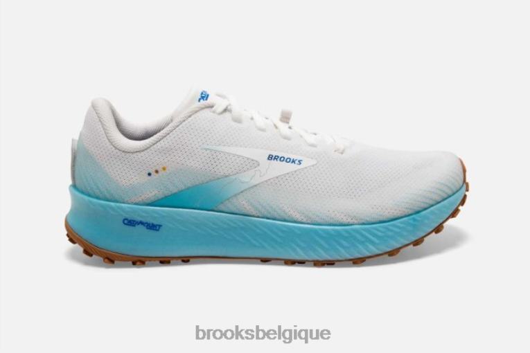 86H241570 catalytique Brooks blanc