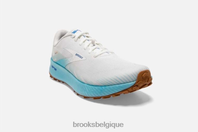 86H241570 catalytique Brooks blanc