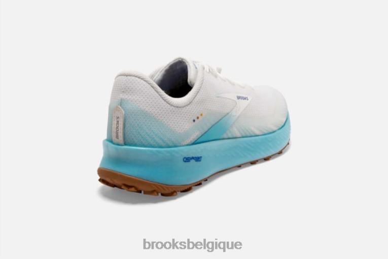 86H241570 catalytique Brooks blanc