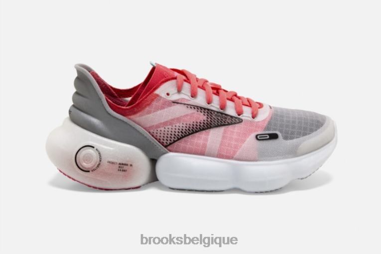 86H241582 aurore Brooks gris