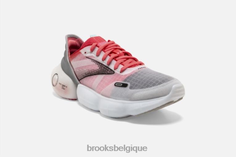 86H241582 aurore Brooks gris