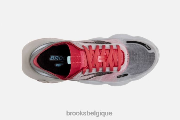 86H241582 aurore Brooks gris