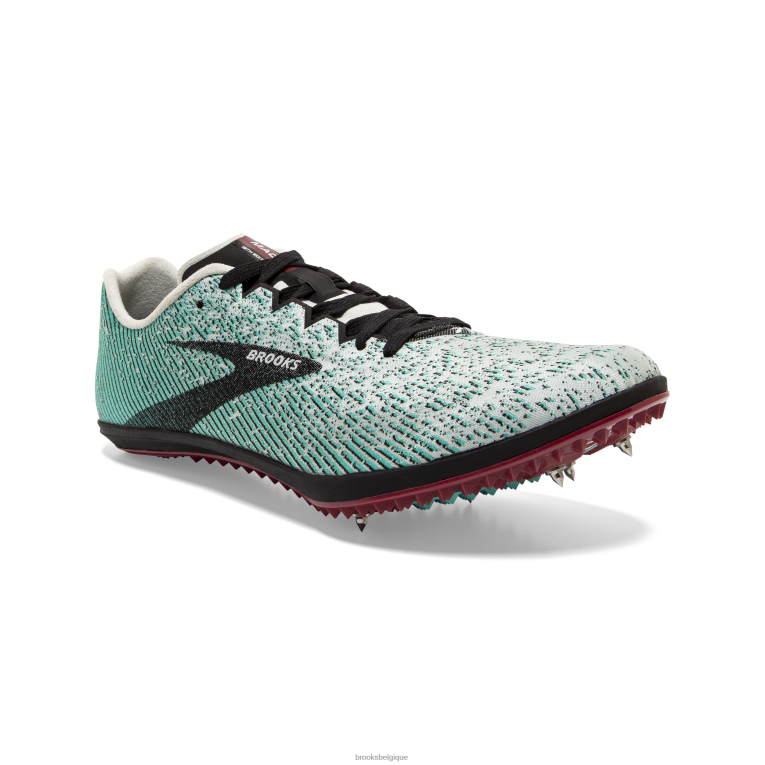 86H24289 19 mars Brooks gris