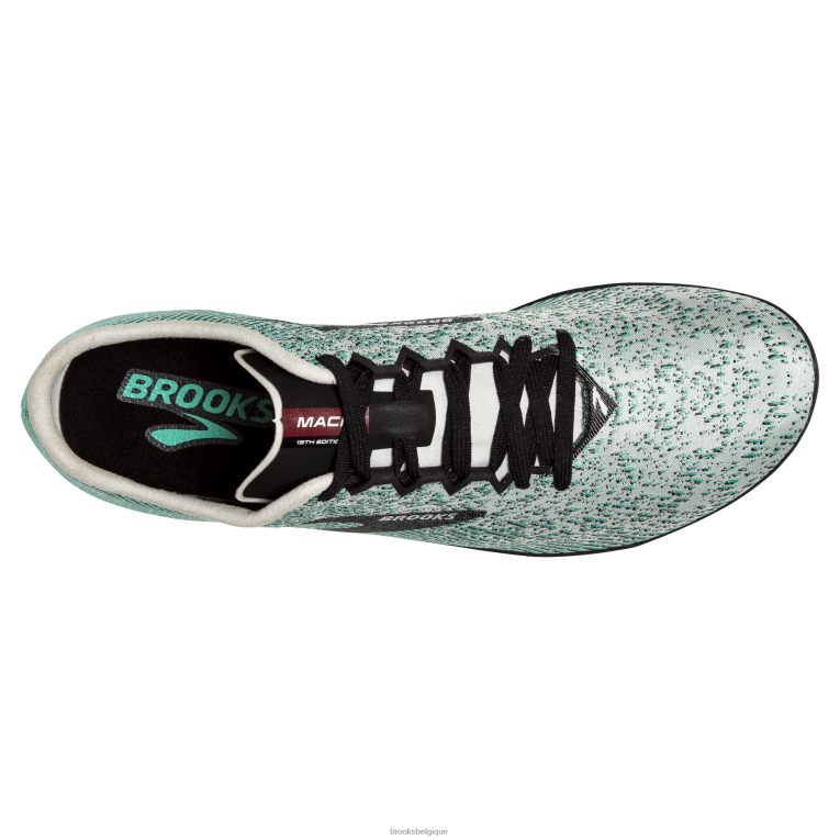 86H24289 19 mars Brooks gris