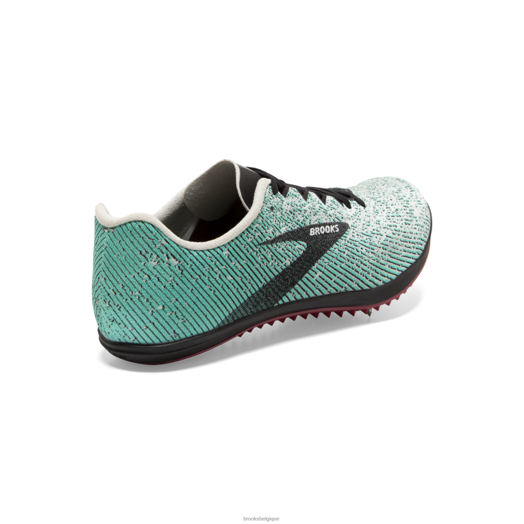 86H24289 19 mars Brooks gris