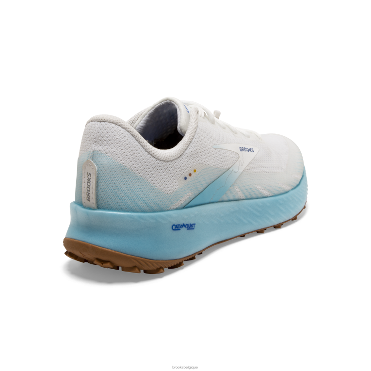 86H2471 catalytique Brooks blanc