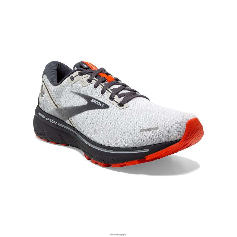 86H2432 fantôme 14 Brooks huître