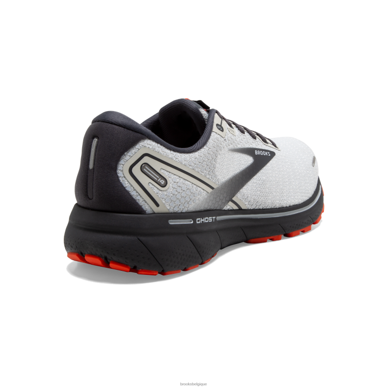 86H2432 fantôme 14 Brooks huître