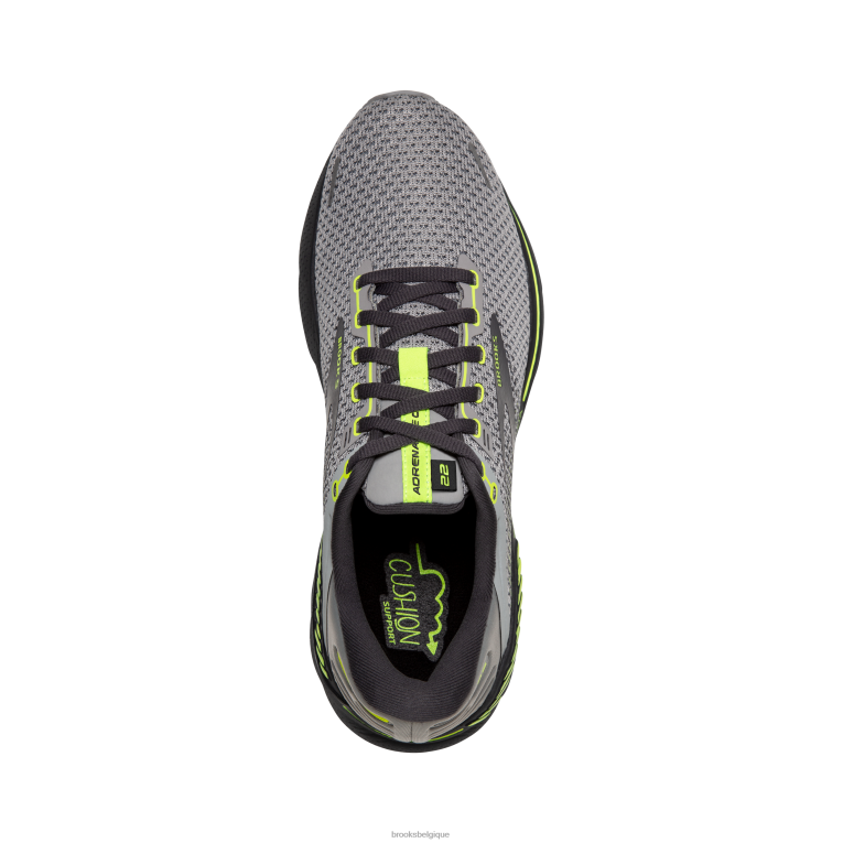 86H2442 adrénaline gts 22 Brooks gris