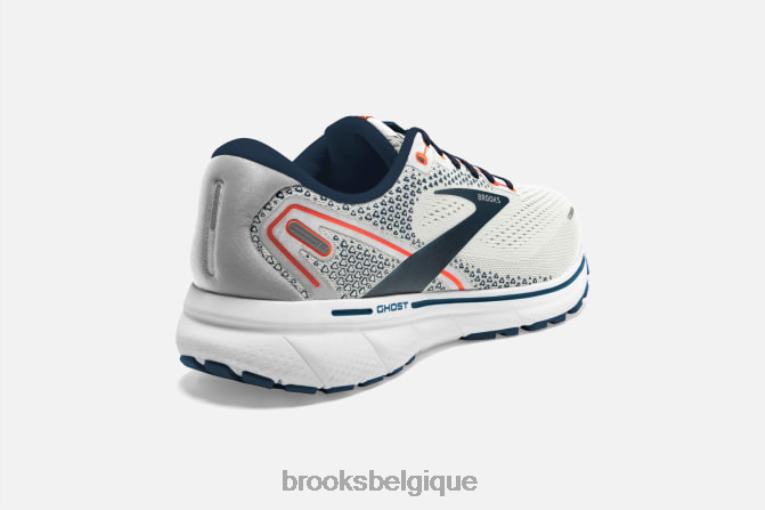 86H241773 fantôme 14 Brooks gris
