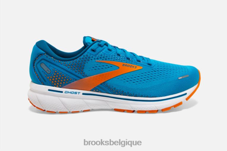 86H241777 fantôme 14 Brooks bleu