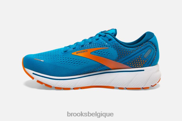 86H241777 fantôme 14 Brooks bleu