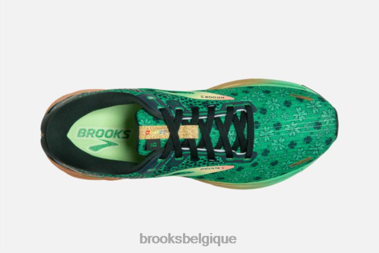 86H241797 fantôme 14 Brooks vert