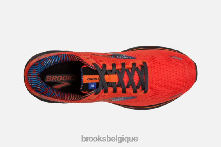 86H241798 fantôme 14 Brooks cerise