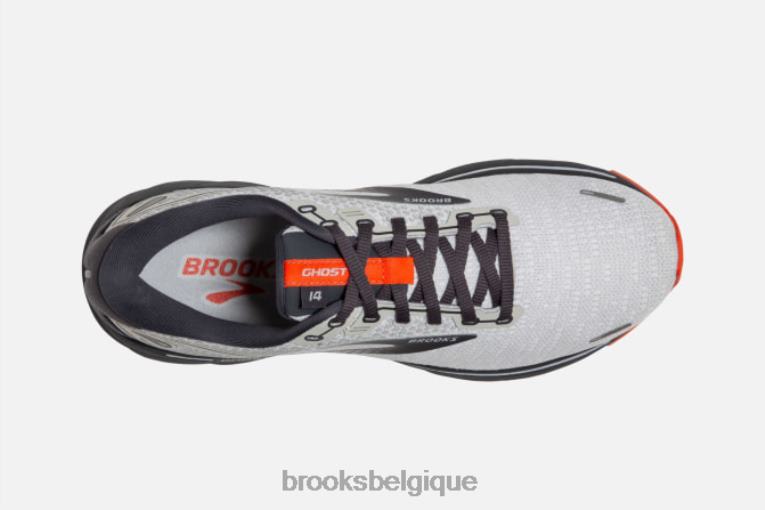 86H241799 fantôme 14 Brooks cerise