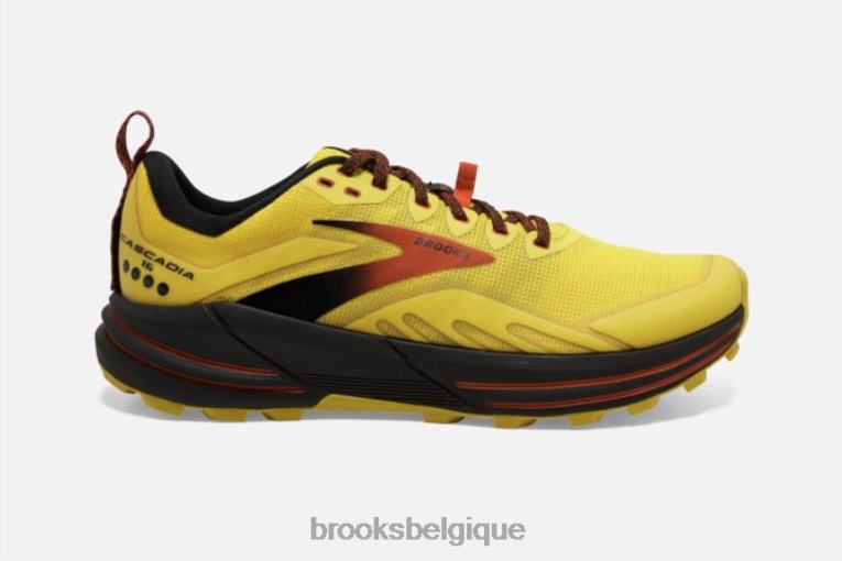 86H241873 cascadie 16 Brooks jaune