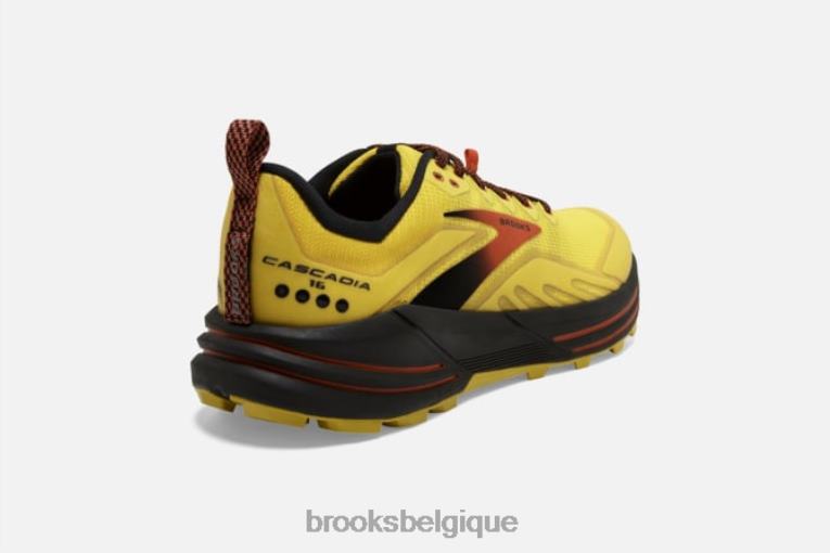 86H241873 cascadie 16 Brooks jaune
