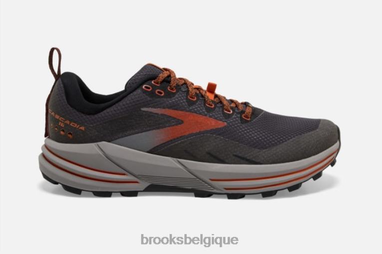 86H241875 cascadia 16 gtx Brooks noir