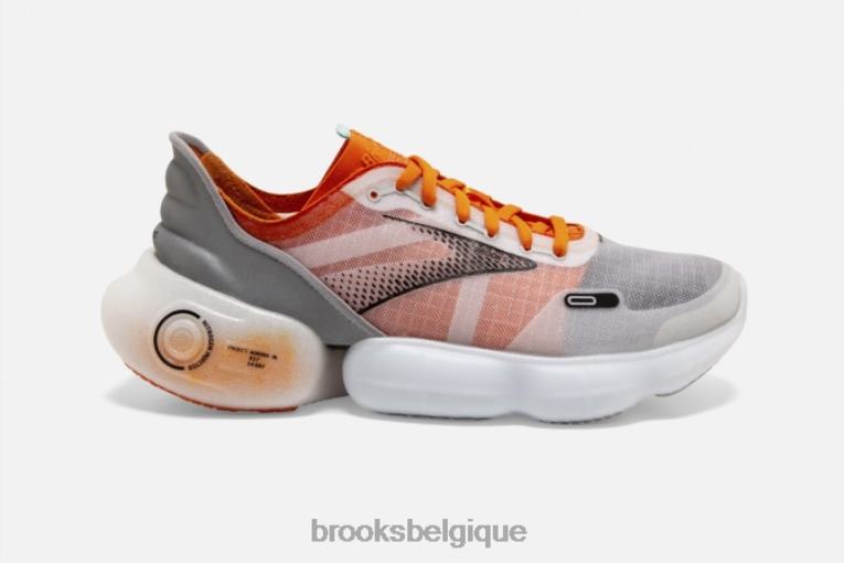 86H241907 aurore Brooks gris