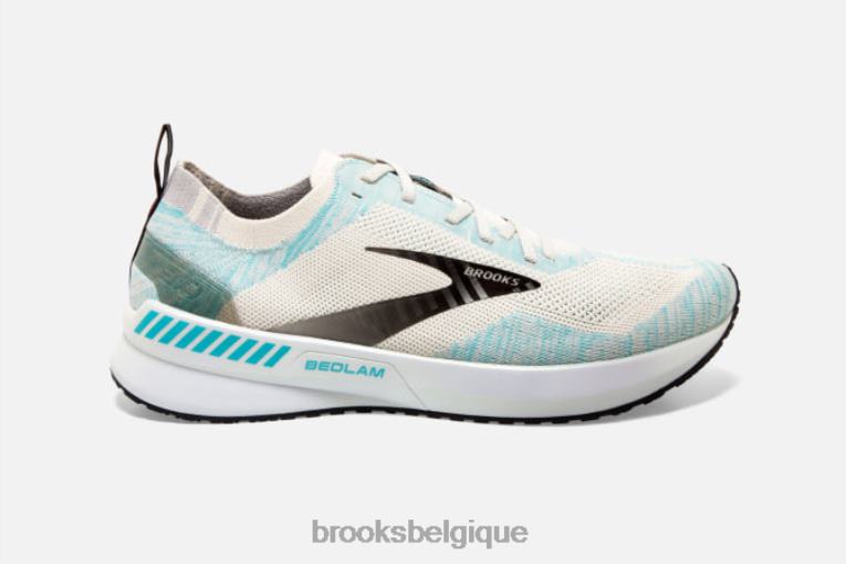 86H241951 chaos 3 Brooks flux