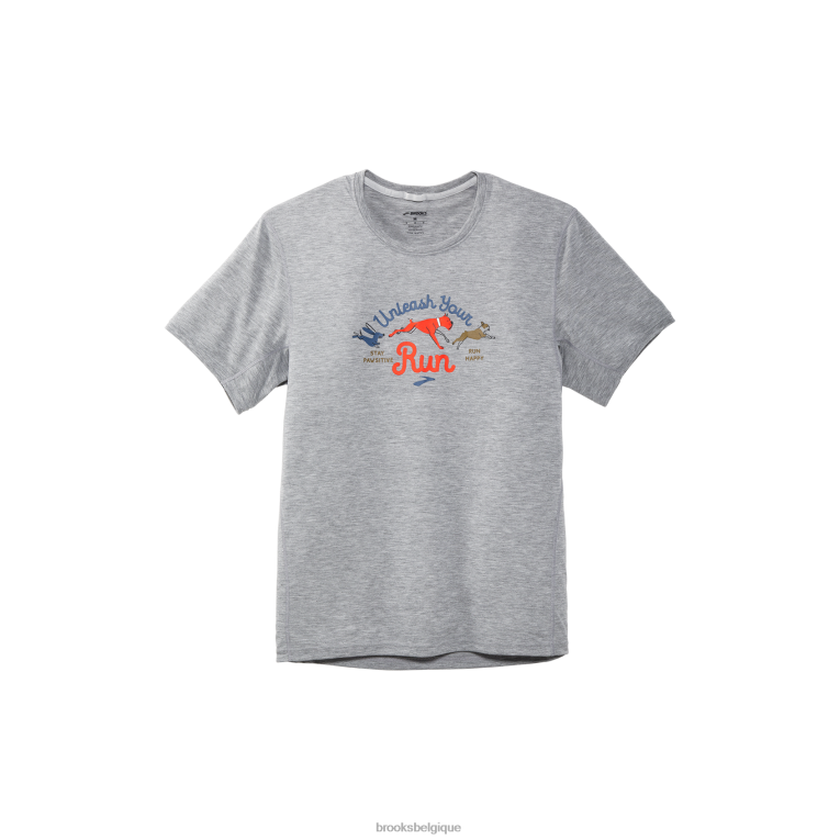 86H24298 manches courtes graphique distance Brooks chien